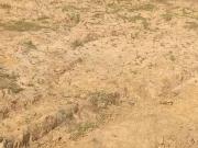 Residential Plot in Choodasandra for resale Bangalore...