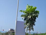 Residential Plot in Chowk for resale Navi Mumbai. The...