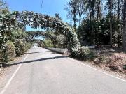 Residential Plot in Ckikkakammana Halli for resale...