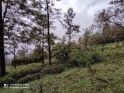 Residential Plot in Coonoor for resale Nilgiris. The...