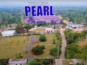 Residential Plot in Dakamarri for resale Visakhapatnam....