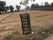Residential Plot in Daniawan for resale Patna. The...