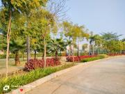 Residential Plot in Datrenga for resale Raipur. The...