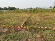 Residential Plot in Dayalpur Daulatpur for resale Patna....