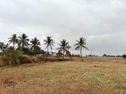Residential Plot in Devanahalli for resale Bangalore....