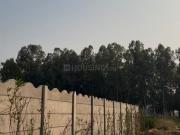 Residential Plot in Dhankot for resale Dwarka...