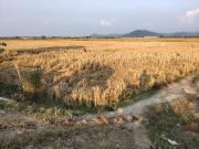 Residential Plot in Dharapur for resale Guwahati. The...