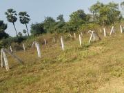 Residential Plot in Duvvada for resale Visakhapatnam....