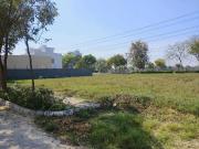 Residential Plot in Farukh Nagar for resale Gurgaon. The...