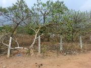 Residential Plot in Gandigundam for resale...