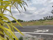 Residential Plot in Ganeshapuram for resale Coimbatore....