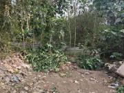 Residential Plot in Gomti Nagar for resale Lucknow. The...