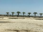 Residential Plot in Gosainganj for resale Lucknow. The...