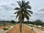 Residential Plot in Hancharahalli Village for resale...