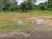 Residential Plot in Howrah Railway Station for resale...