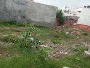 Residential Plot in Indira Nagar for resale Lucknow. The...