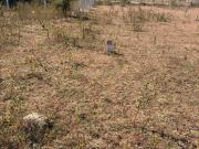 Residential Plot in Indira Nagar for resale Nashik. The...