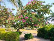 Residential Plot in Indore GPO for resale Indore. The...