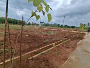 Residential Plot in Iyyanapura for resale Mysore. The...