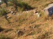 Residential Plot in Jagatpura for resale NH 8 Jaipur....