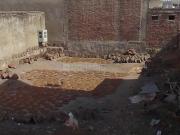 Residential Plot in Jagatpura for resale NH 8 Jaipur....