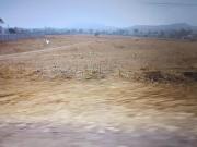 Residential Plot in Jamli for resale Indore. The...