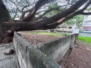 Residential Plot in Jayanagar for resale South...