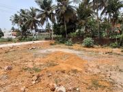 Residential Plot in Jeppinamogru Village for resale...