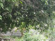 Residential Plot in JP Nagar for resale Bengaluru. The...