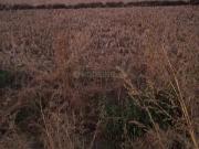 Residential Plot in jui for resale Navi Mumbai. The...