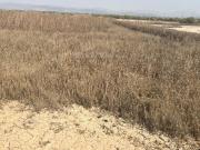 Residential Plot in jui for resale Navi Mumbai. The...