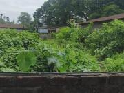 Residential Plot in Jyotikuchi for resale Guwahati. The...