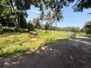 Residential Plot in Kaggalipura for resale South...