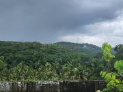 Residential Plot in Kaipadi for resale...