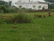 Residential Plot in Kairi for resale Bhubaneswar. The...