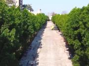 Residential Plot in Kajarwara Gram for resale Jabalpur....