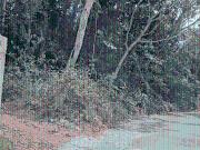 Residential Plot in Kakkanad for resale Kochi. The...