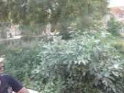 Residential Plot in Kalali for resale Vadodara. The...