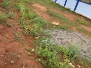 Residential Plot in Kalapatti for resale Coimbatore. The...