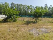 Residential Plot in Kalwar for resale Jaipur. The...