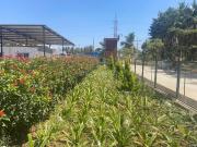 Residential Plot in Kanakapura for resale Bengaluru. The...