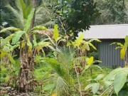 Residential Plot in Kanattukara for resale Thrissur. The...