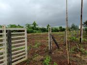 Residential Plot in Karjat for resale Thane. The...