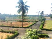 Residential Plot in Kelambakkam for resale Chennai. The...