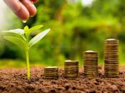 Residential Plot in Kharghar for resale Navi Mumbai. The...