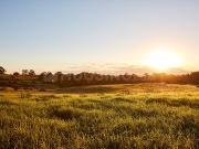 Residential Plot in Koproli for resale Navi Mumbai. The...