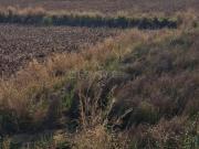 Residential Plot in Koproli for resale Navi Mumbai. The...