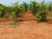 Residential Plot in Kothavalasa for resale...