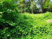 Residential Plot in Kuriachira for resale Thrissur. The...