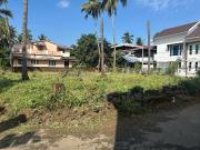 Residential Plot in Kuttanellur for resale Thrissur. The...